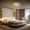 Vionne | Designer Ceiling Light