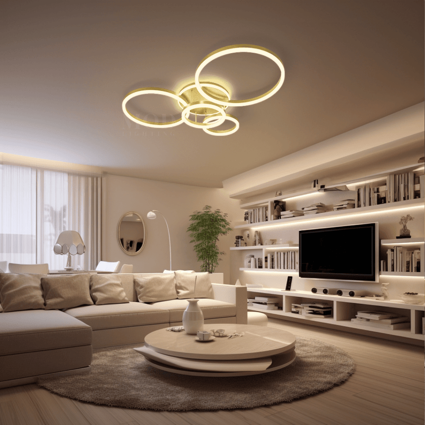 Vionne | Designer Ceiling Light
