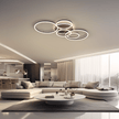 Vionne | Designer Ceiling Light