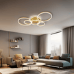 Vionne | Designer Ceiling Light