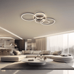 Vionne | Designer Ceiling Light