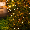 Solara | Modern String Lights