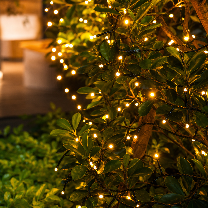 Solara | Modern String Lights
