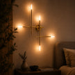 Aviora |  Indoor LED Wall Light